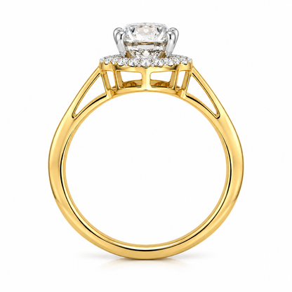 Oval Halo