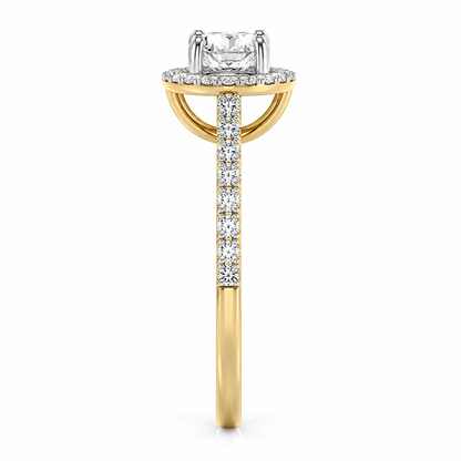 Oval Halo Pave Set