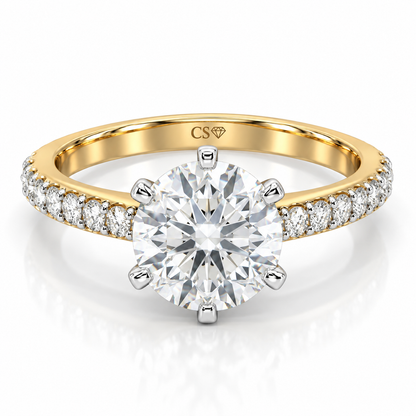 Round 6 Prong Pave Set