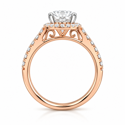 Round Halo Pave Set