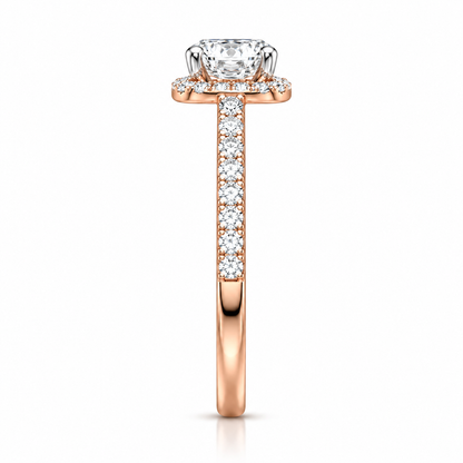 Round Halo Pave Set