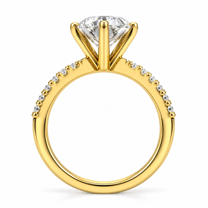 Round 6 Prong Pave Set