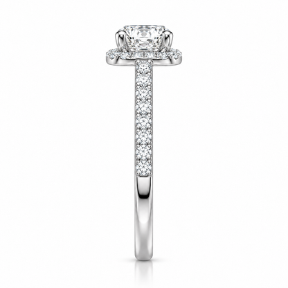 Round Halo Pave Set