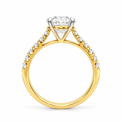 Round Pave Cathedral set