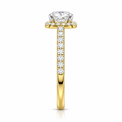 Round Halo Pave Set
